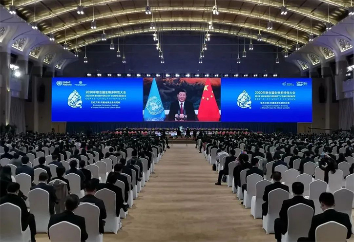 IeQJU1634805908