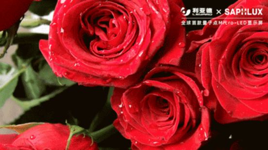 CHrqt1659085753