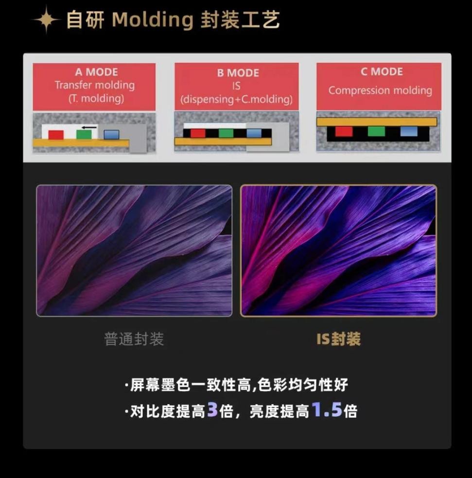 RW71z1657683913