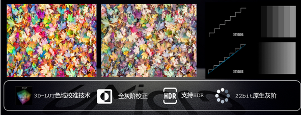 Qnqwg1698822148